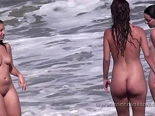 Beach Spy Big Tits - Naked Beach spy Videos, Nude Girls All Free - Nu-Bay.com