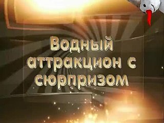 Russian Gay Porn Show 014: A Slapdash Treasure for All