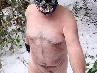 Older and Wilder Wolf in Winter Play